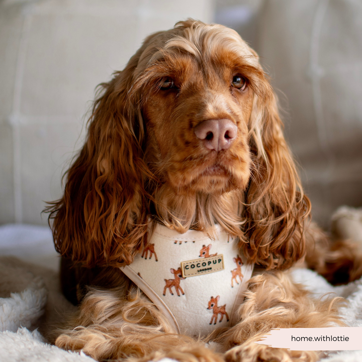 Fleecy Fawn Adjustable Neck Harness, Lead & Collar Bundle