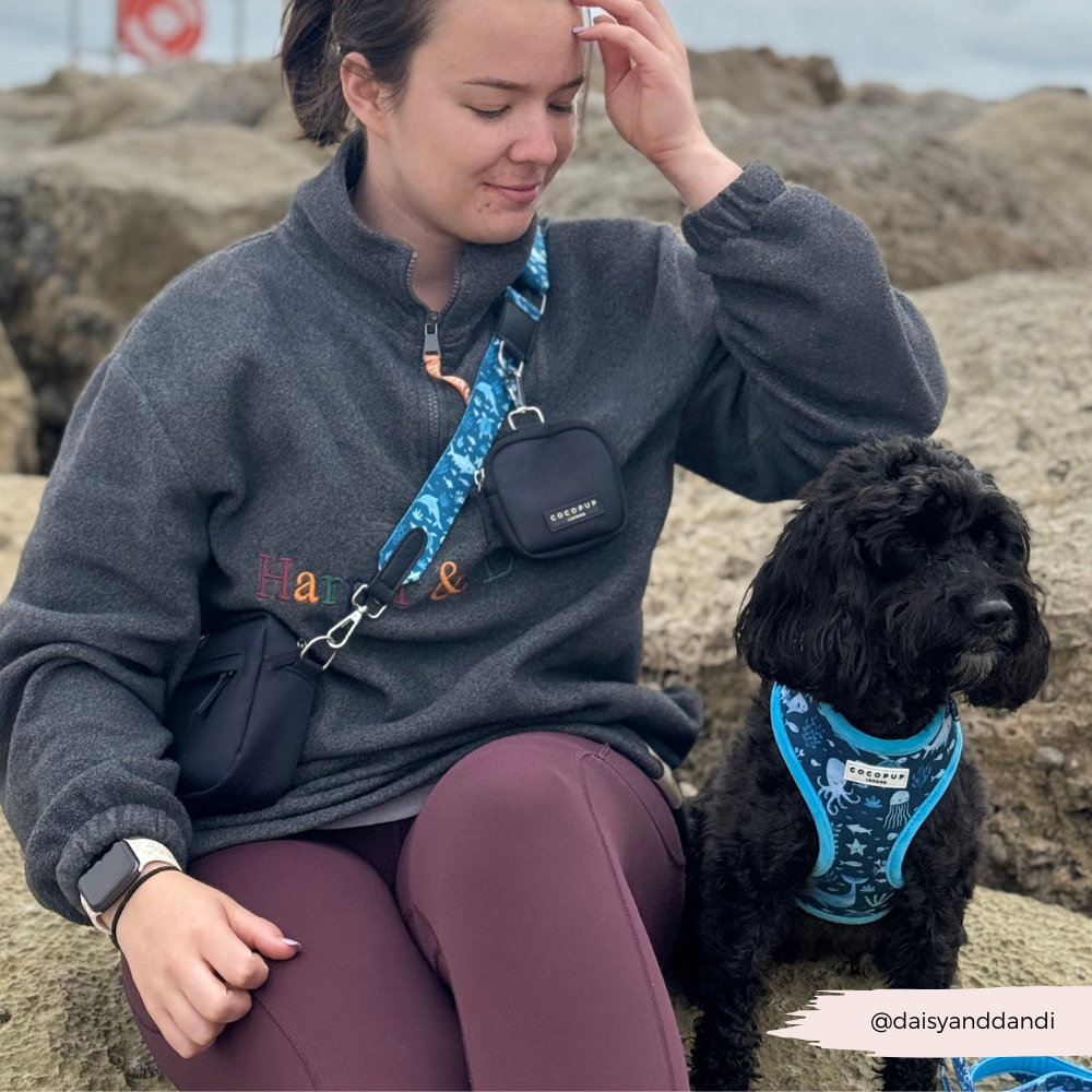 Dog Walking Bag Bundle - Sea Life Pawty