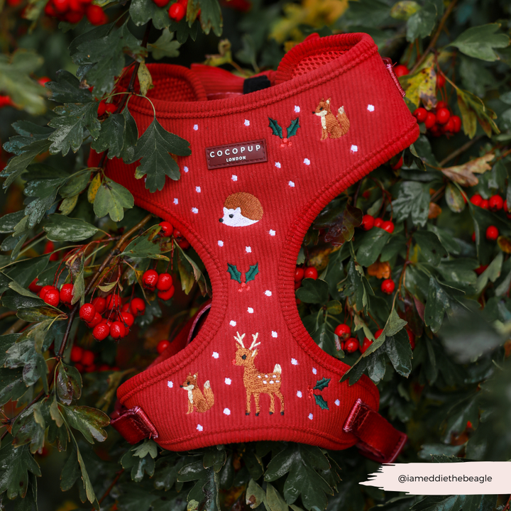 Holly Jolly Trails Adjustable Neck HARNESS