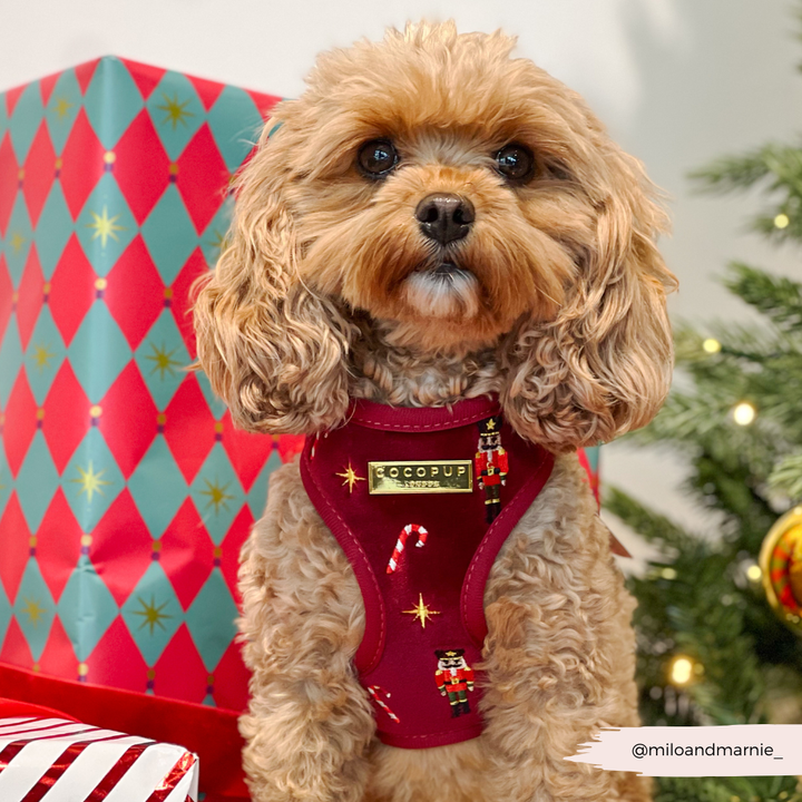 The Muttcracker Adjustable Neck HARNESS