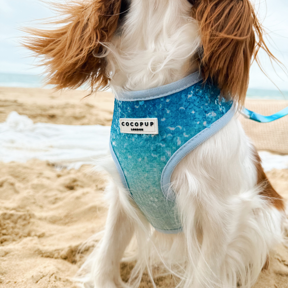 Seaside Shimmer Adjustable Neck HARNESS