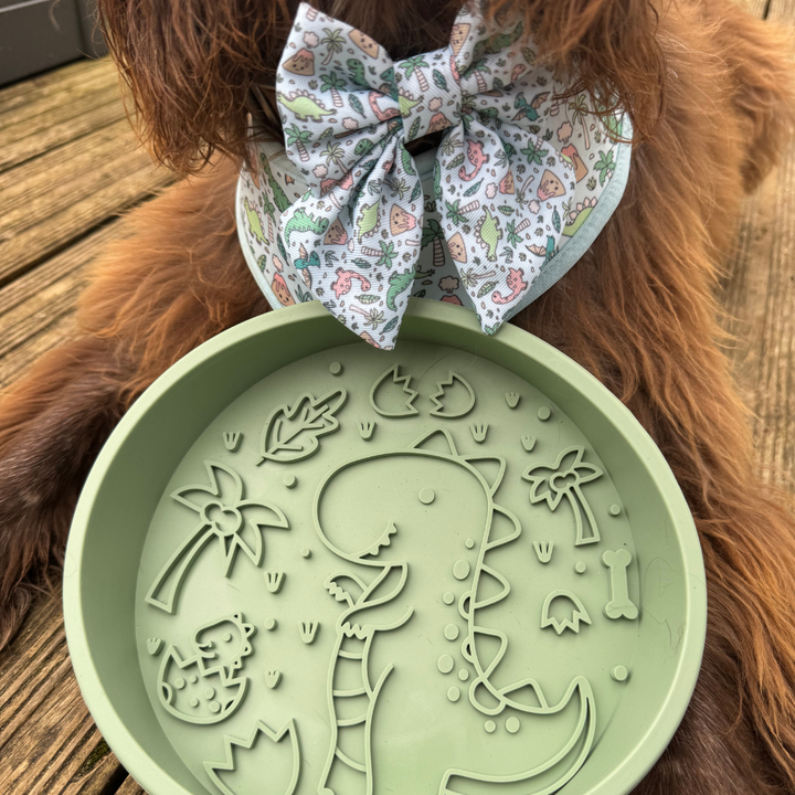 Silicone Slow Feed Dog Bowl - Dinopaws