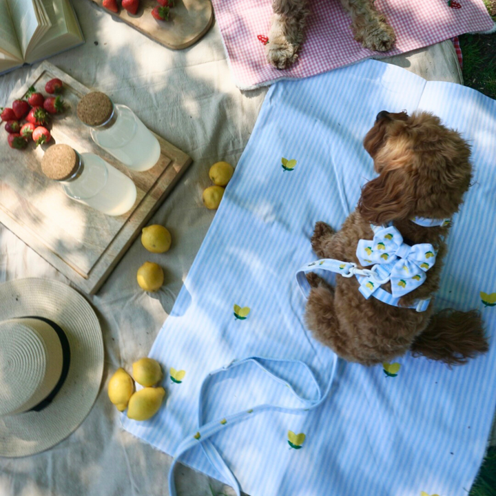 Travel Mat & Blanket Set - Living La Vida Lemon