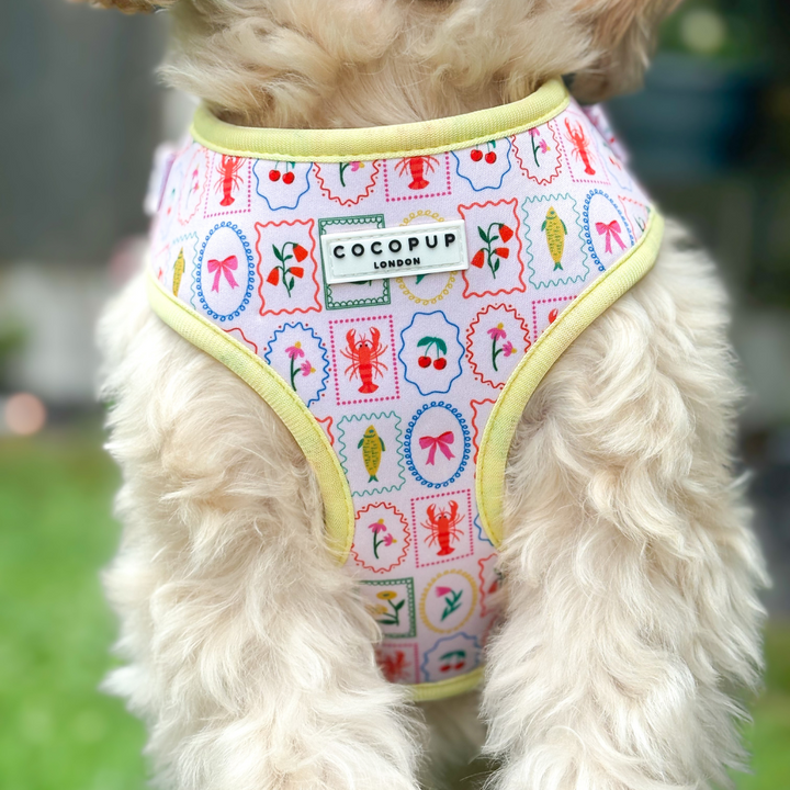 Dolce Vita Adjustable Neck HARNESS