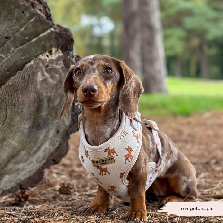 Fleecy Fawn Adjustable Neck Harness, Lead & Collar Bundle