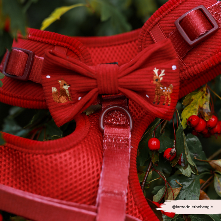 Holly Jolly Trails Bow Tie