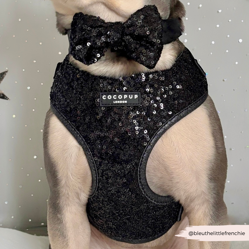 Limited Edition Sparkle Season Black Adjustable Neck Harness, Lead & Collar Bundle