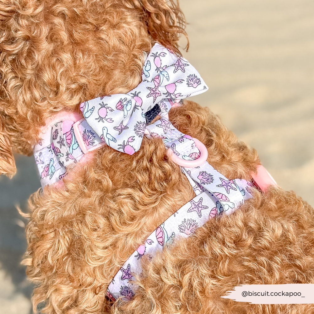 Pawcific Pink Reef Bow Tie