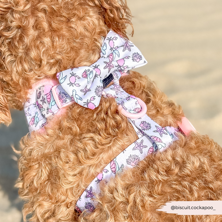 Pawcific Pink Reef Bow Tie