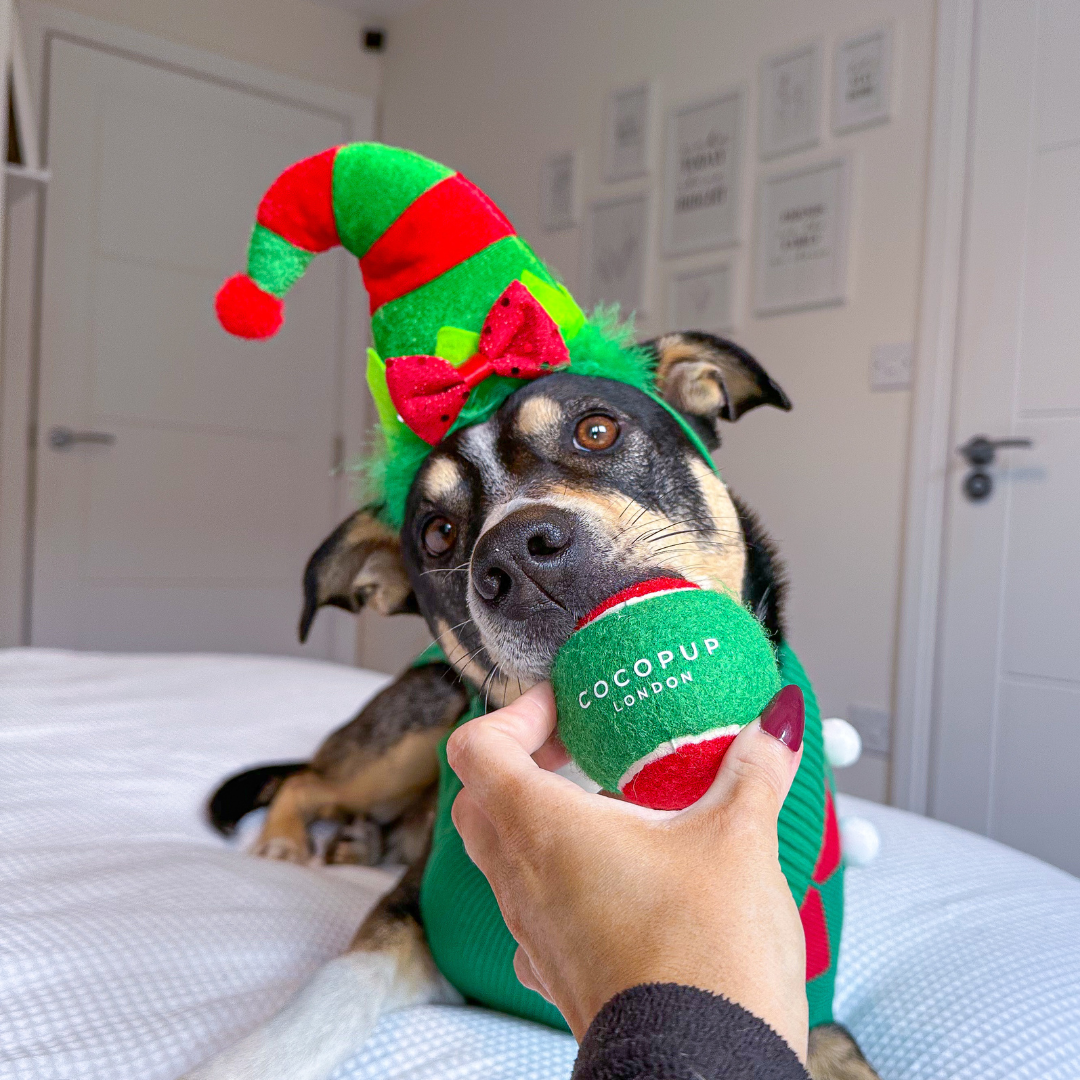 Limited Edition Tennis Ball - Christmas Red & Green