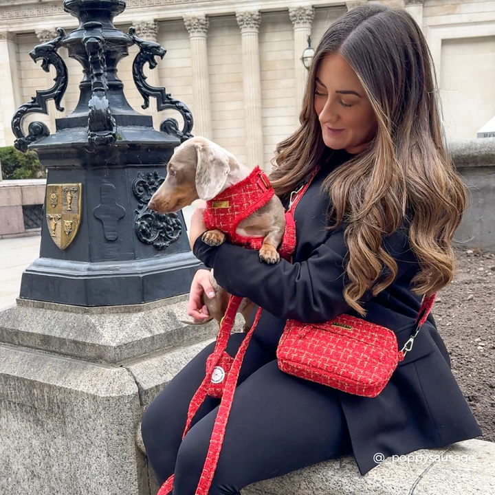 Dog Walking Bag - Red Textured Tweed