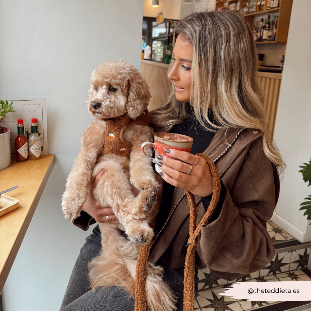 Festive Pudding Pup Adjustable Neck Harness, Lead & Collar Bundle