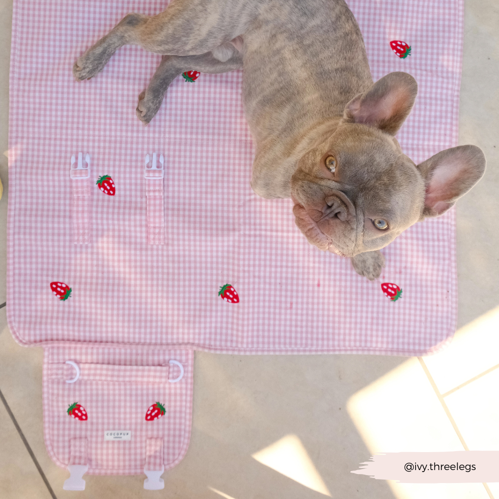 Travel Mat & Blanket Set - Strawberry Picnic Pup
