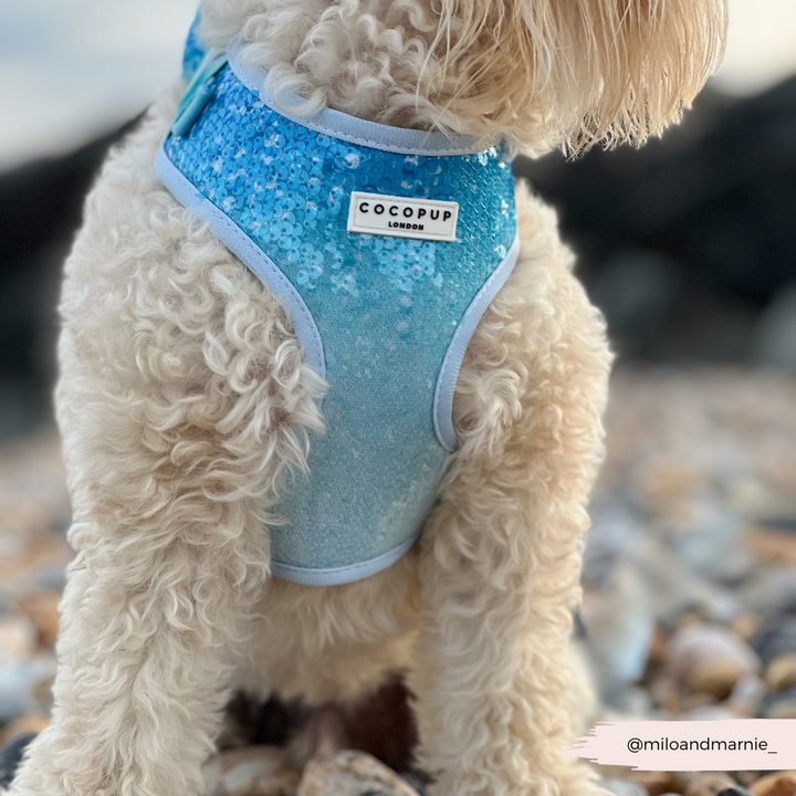 Seaside Shimmer Adjustable Neck HARNESS