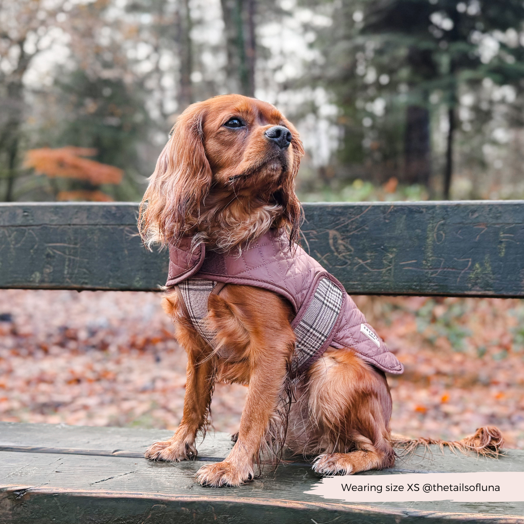 LUXE Quilted Dog Coat - Pup Plaid