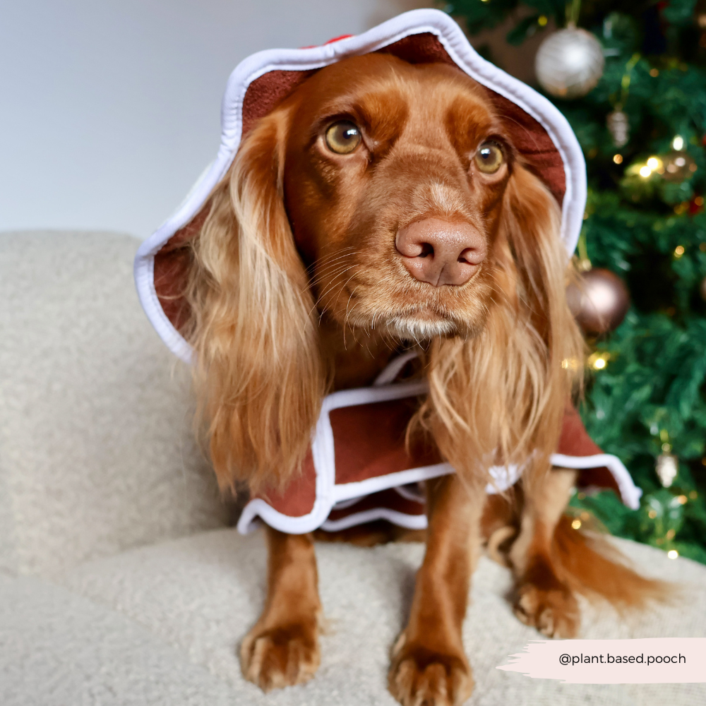 PERSONALISED Christmas Pudding Drying Robe