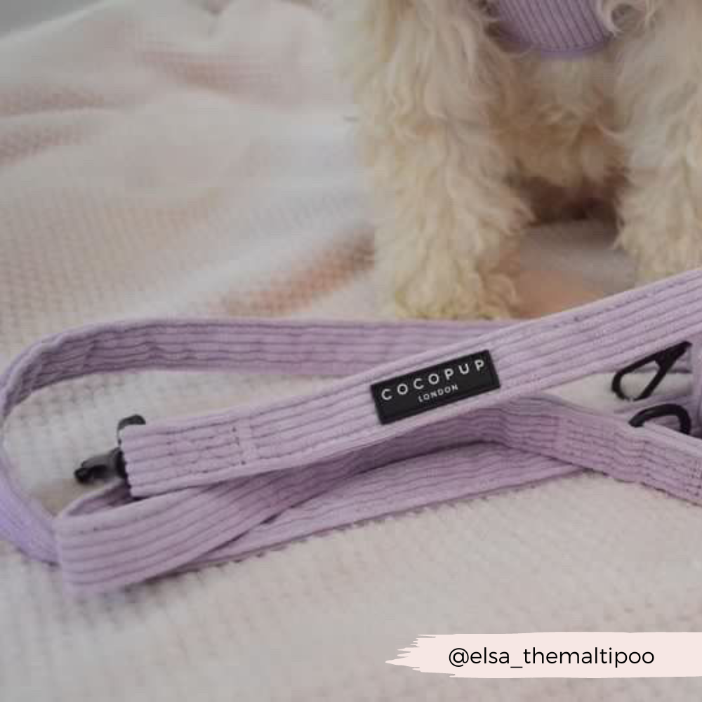 Lilac Cord Lead