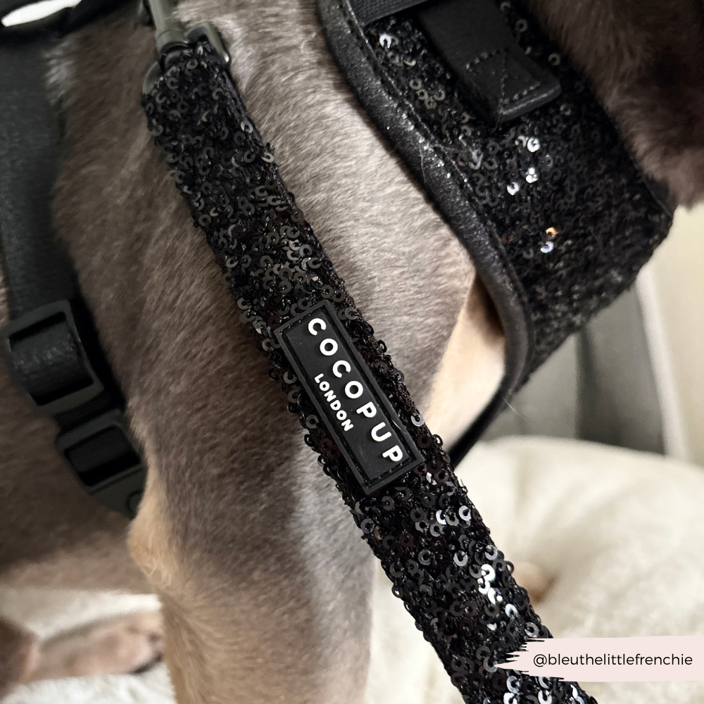 Limited Edition Sparkle Season Black Adjustable Neck Harness, Lead & Collar Bundle