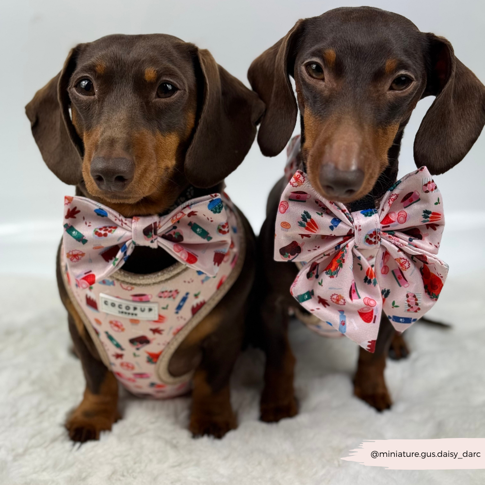 Cracking Christmas Dinner Sailor Bow Tie