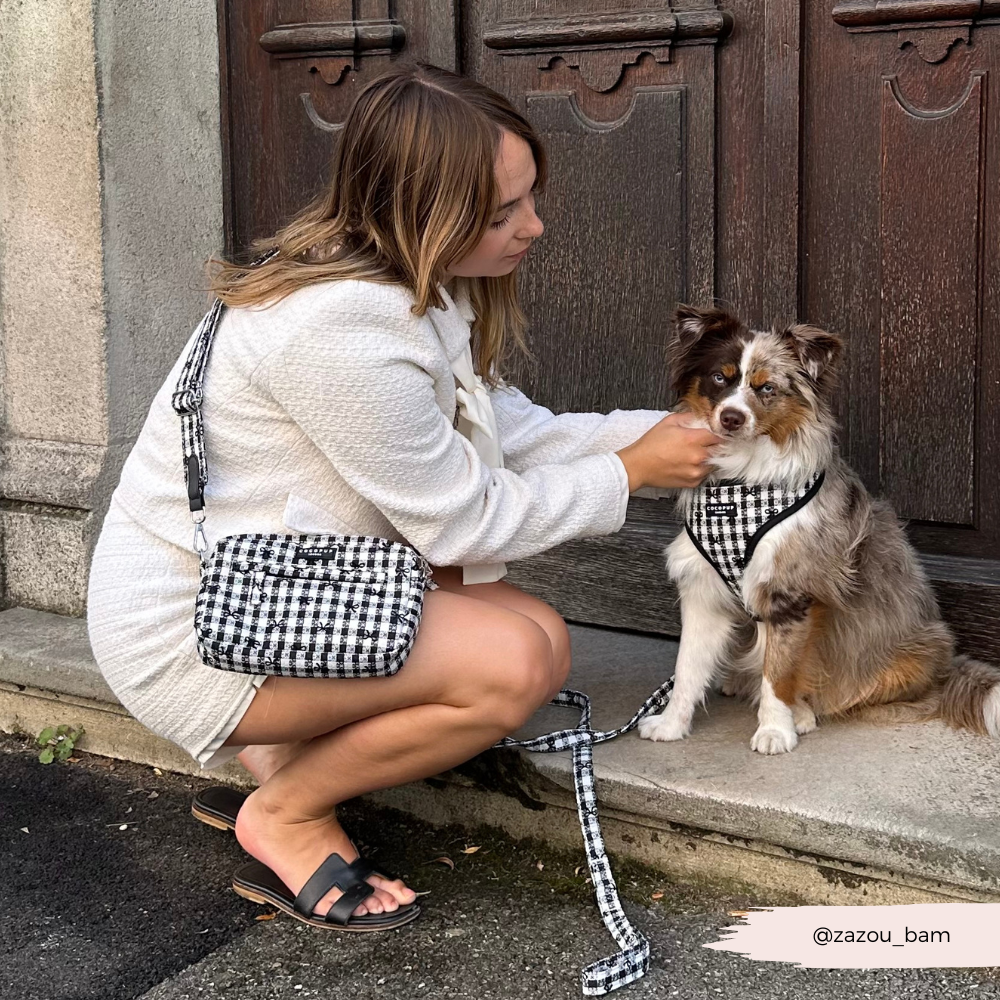 Pup in Paris Dog Walking Bag Bundle - Pup in Paris