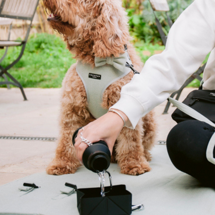 Bag Accessory Bundle - Black