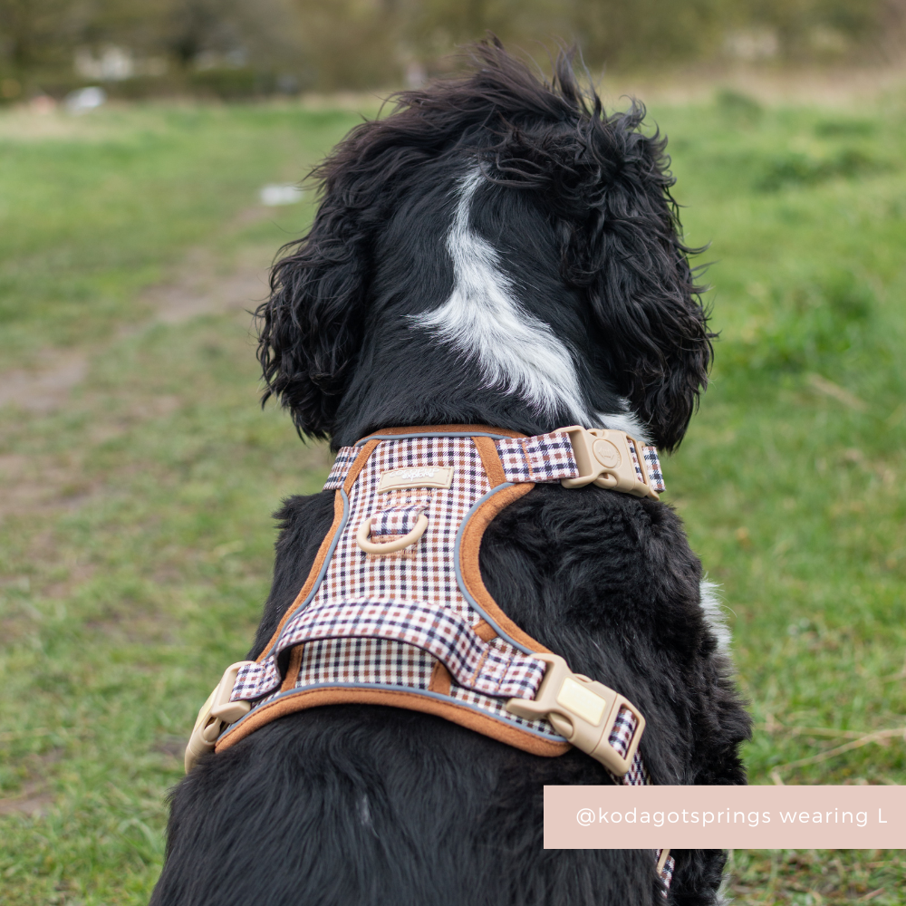 Explore Harness - Heritage Check