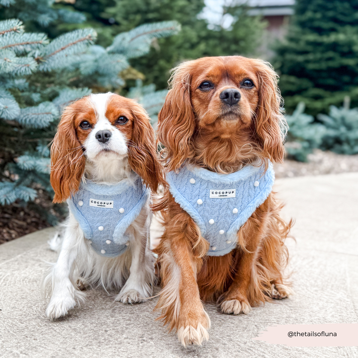 Snowpaws Adjustable Neck HARNESS