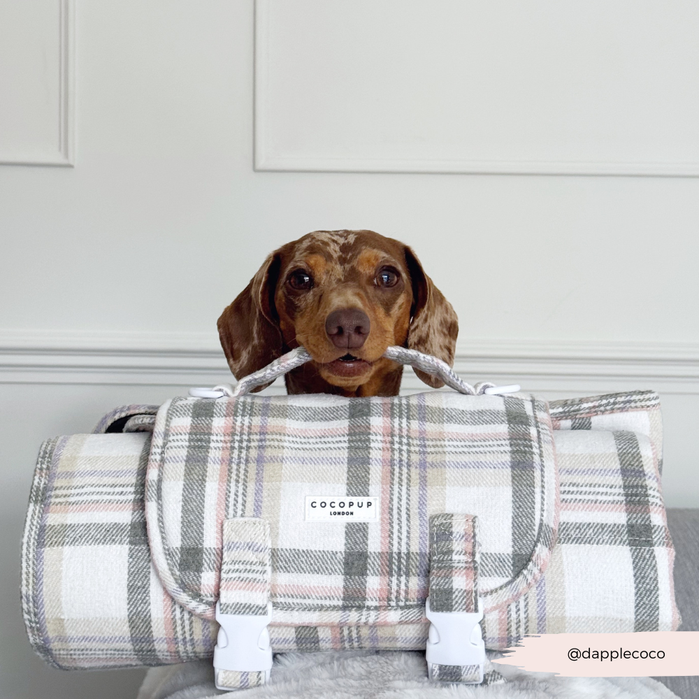 Travel Mat & Blanket Set - Oxford Plaid