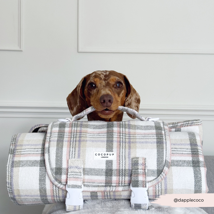 Travel Mat & Blanket Set - Oxford Plaid