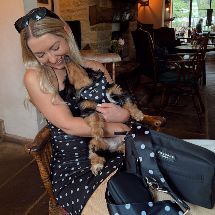 Dog Walking Black Bag Bundle - Satin Polka Dot