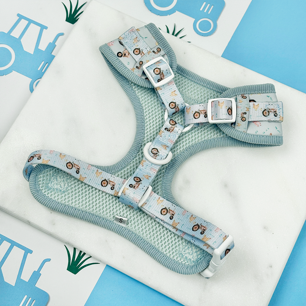 Barnyard Buddies Adjustable Neck HARNESS