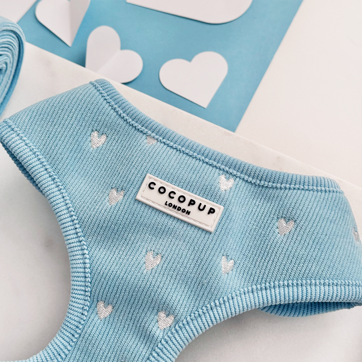 Blue Heartstrings Cord Adjustable Neck HARNESS