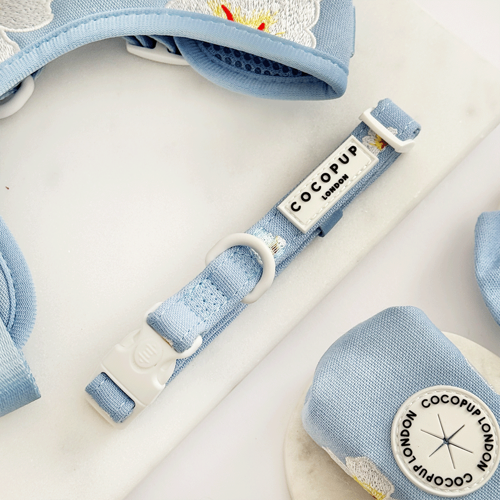 Blue Lagoon Adjustable Neck Harness, Lead & Collar Bundle