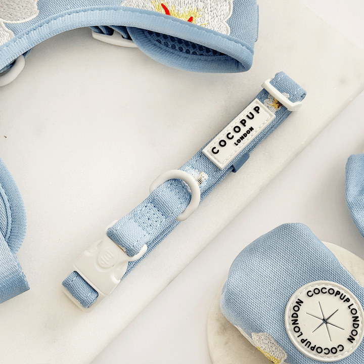 Blue Lagoon Adjustable Neck Harness, Lead & Collar Bundle