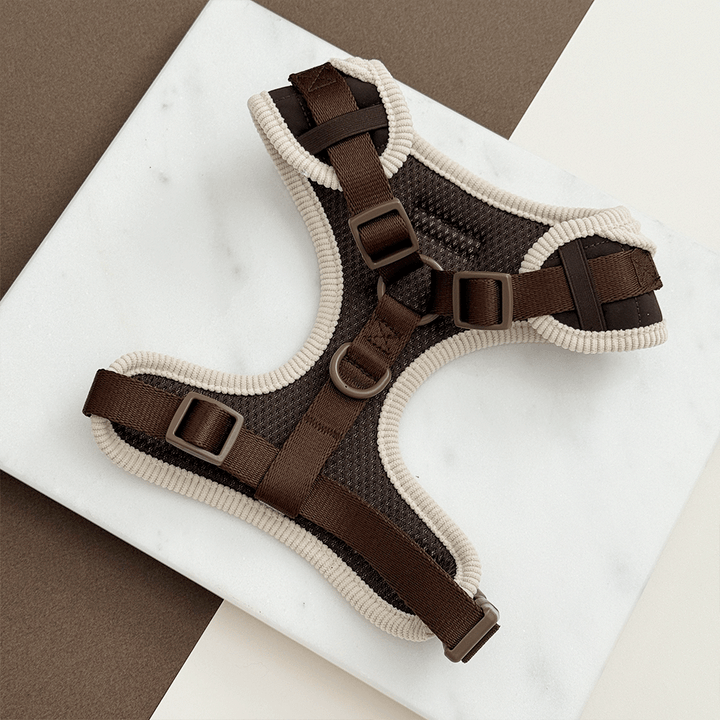 Burford Quilted Adjustable Neck Harness, Lead & Collar Bundle