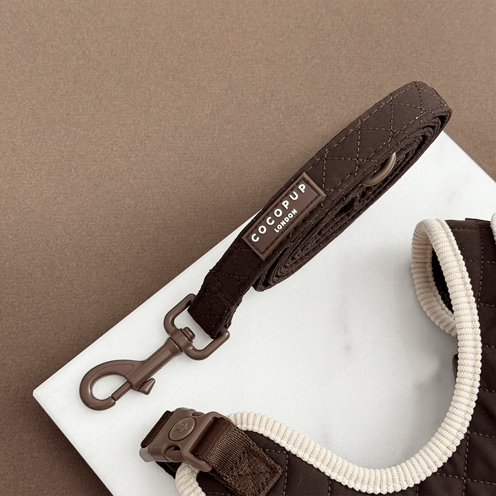 Burford Quilted Adjustable Neck Harness, Lead & Collar Bundle