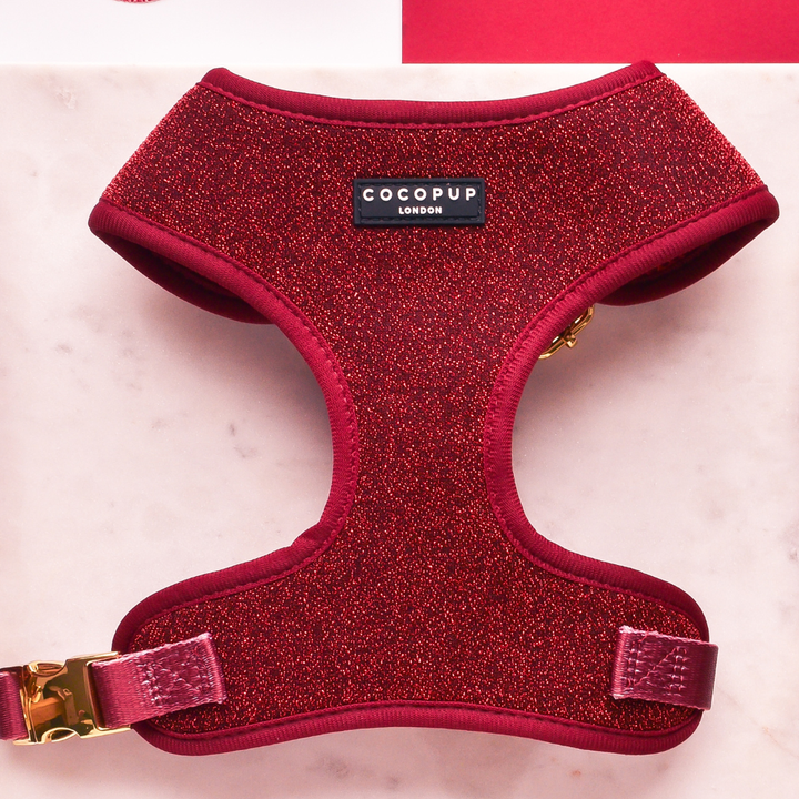 Christmas Mystery Adjustable Neck HARNESS
