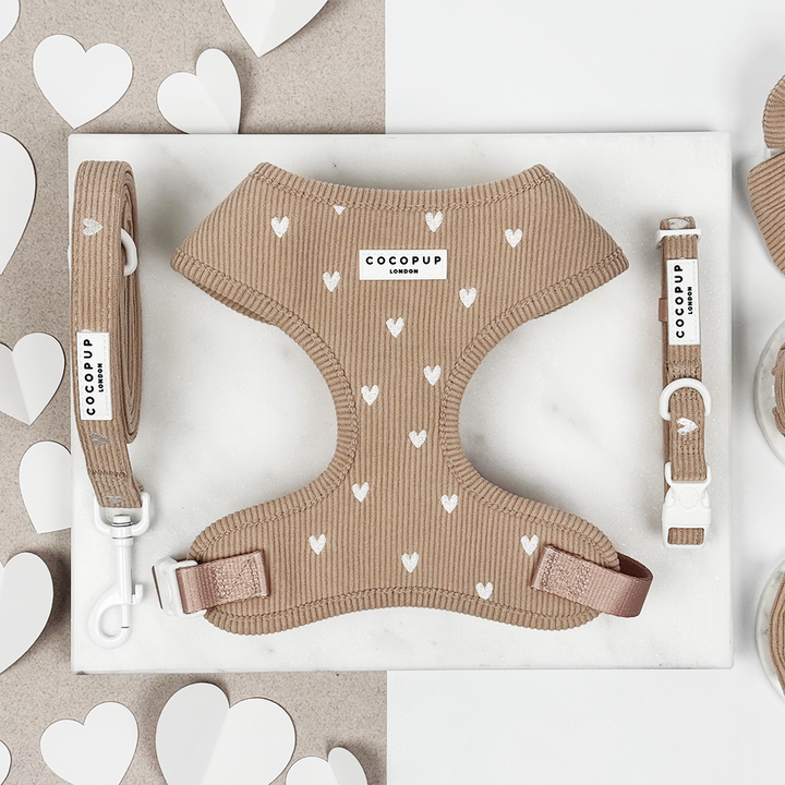Chai Hearts Adjustable Neck Harness, Lead & Collar Bundle
