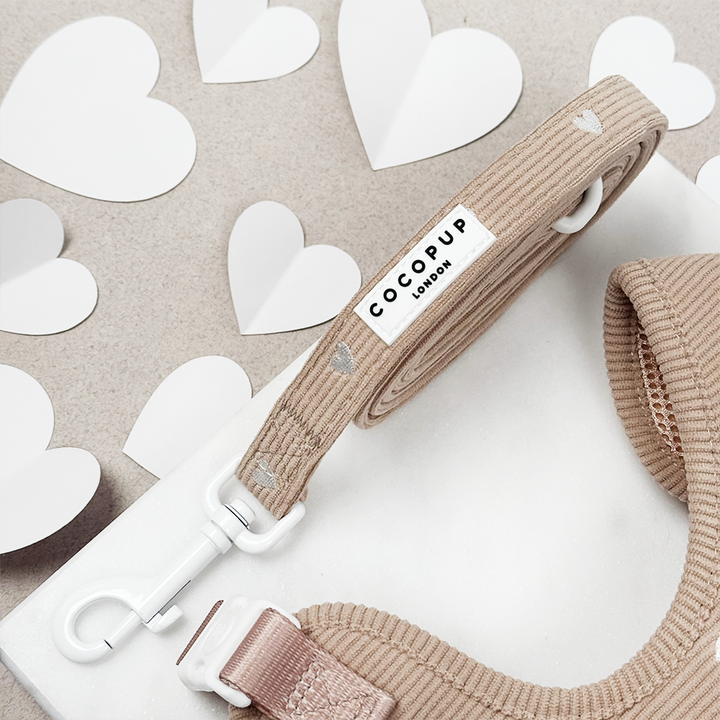 Chai Hearts Adjustable Neck Harness, Lead & Collar Bundle