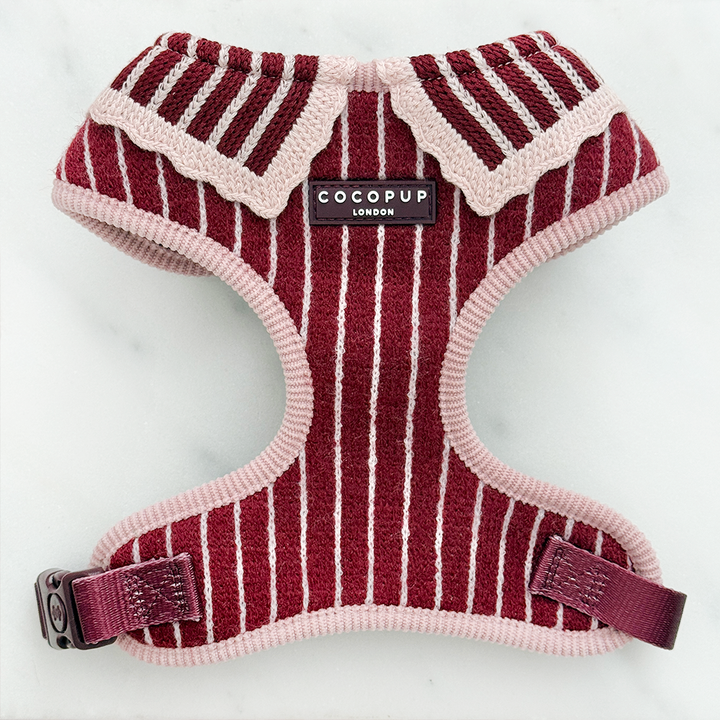 Knitted dog harness with burgundy and baby pink vertical stripes and a light pink scalloped collar.