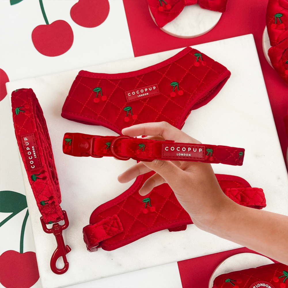 Cherry Velvet Crush Adjustable Neck Harness, Lead & Collar Bundle