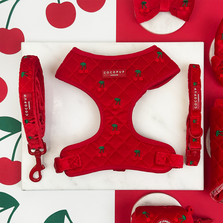 Cherry Velvet Crush Adjustable Neck Harness, Lead & Collar Bundle