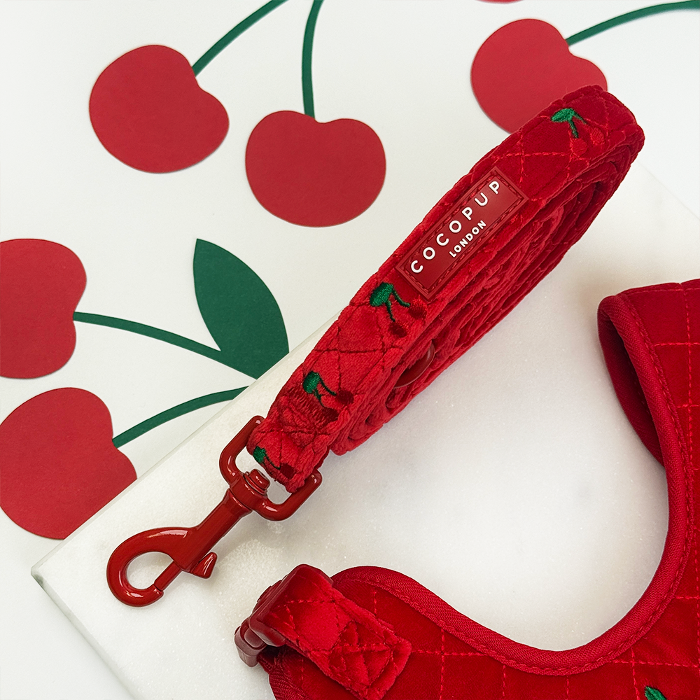 Cherry Velvet Crush Lead