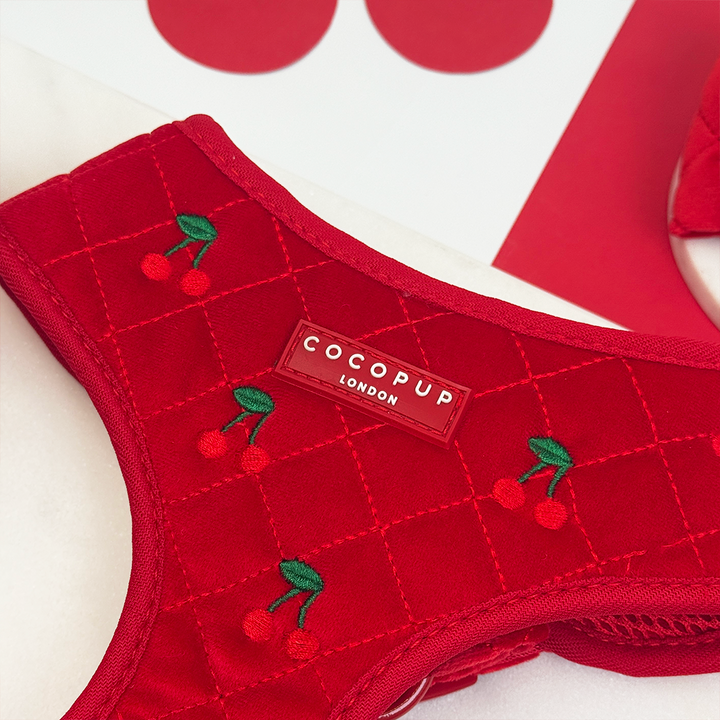 Cherry Velvet Crush Adjustable Neck Harness, Lead & Collar Bundle