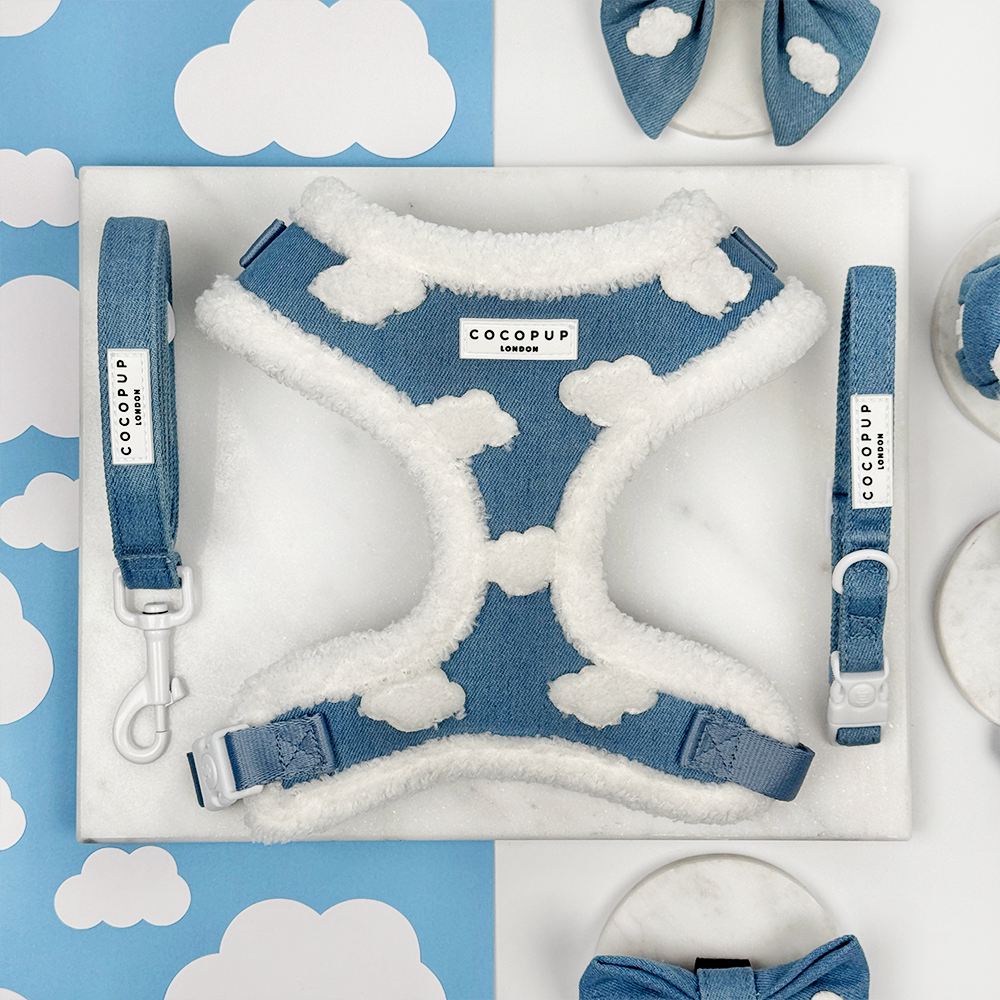 Dog harness, leash, and bow tie set with Cocopup branding on a blue and white cloud-patterned background.