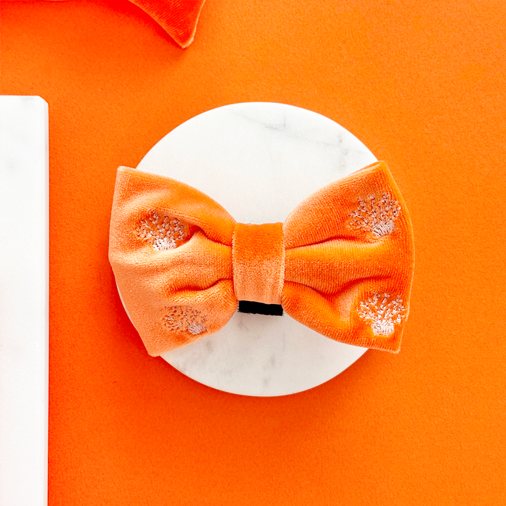 Luxe Velvet Bow Tie - Coral Core