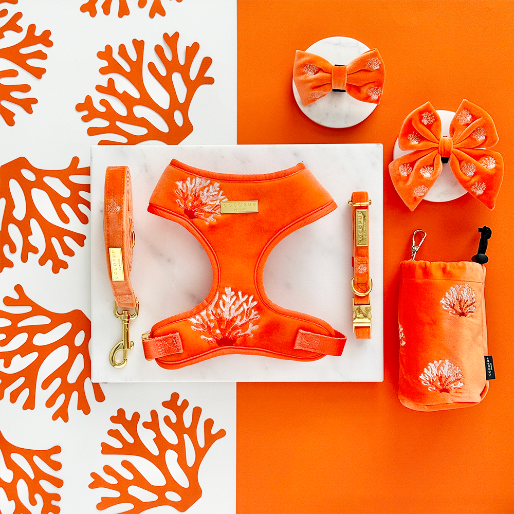 Luxe Velvet Adjustable Neck HARNESS- Coral Core