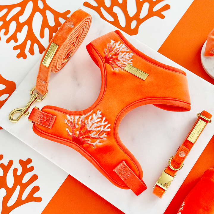 Luxe Velvet Adjustable Neck HARNESS- Coral Core