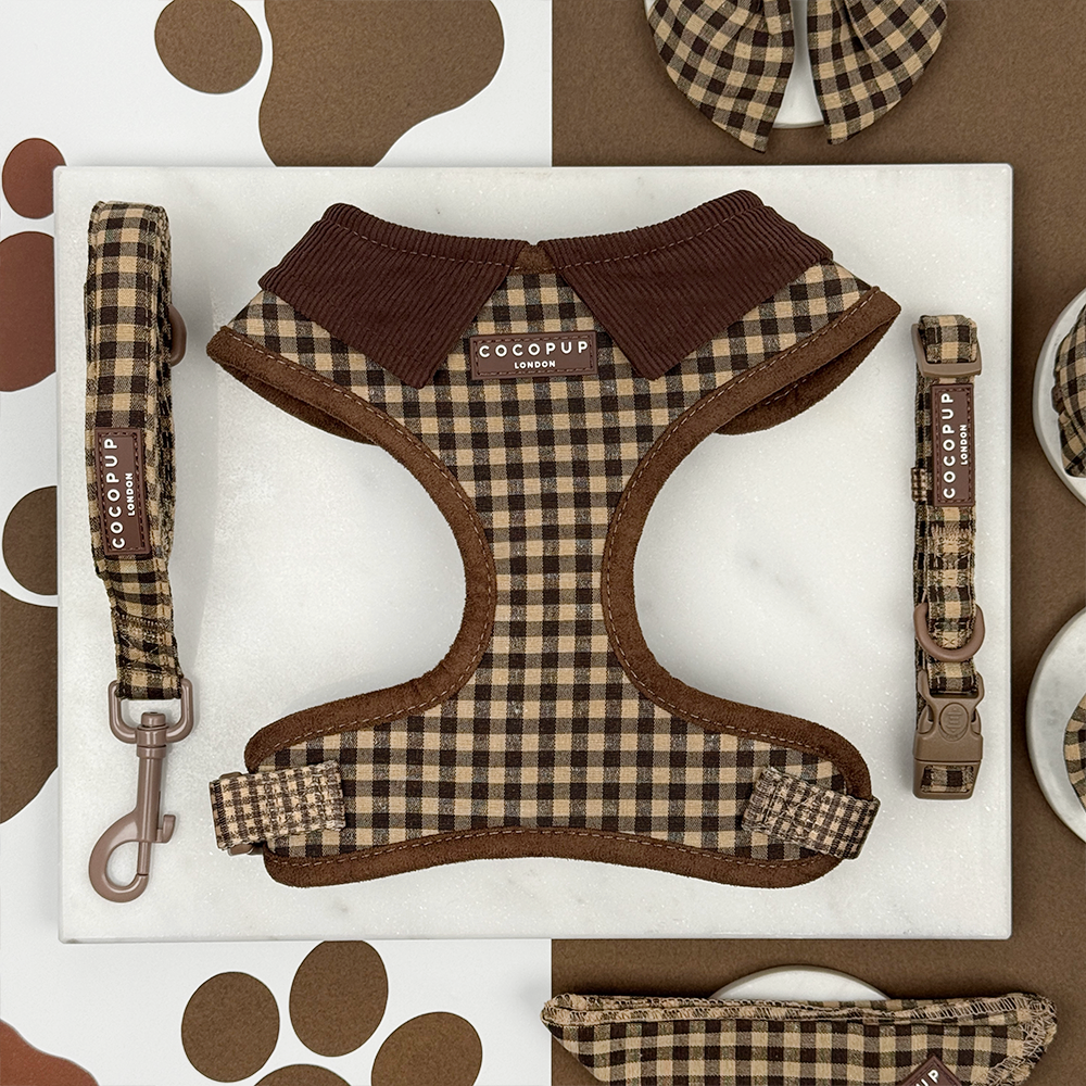 Cotswold Check Adjustable Neck Harness, Lead & Collar Bundle