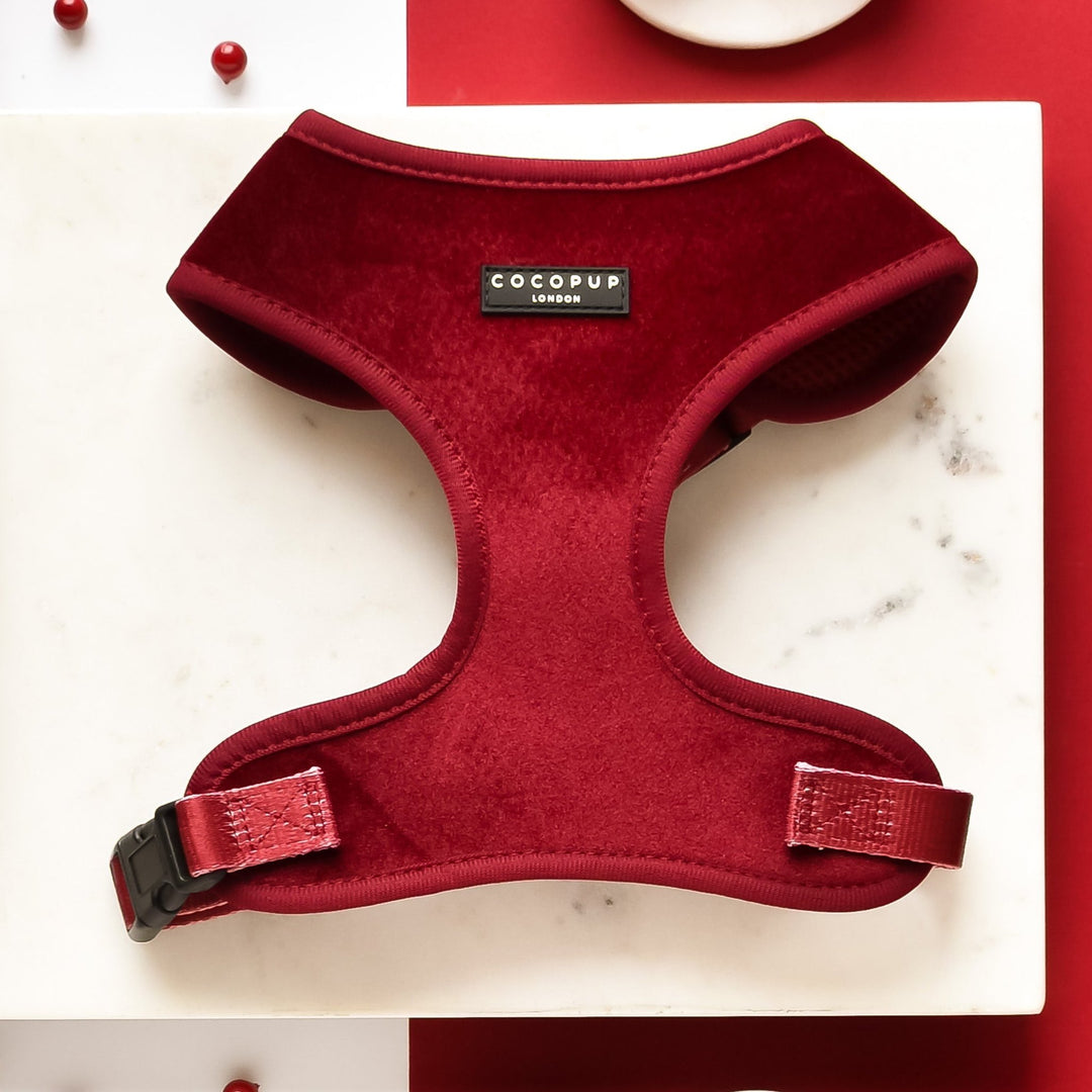 Luxe Velvet Adjustable Neck Harness, Lead & Collar Bundle - Berry Red